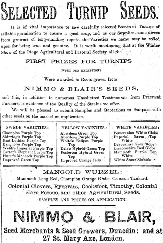 Advertisement for Nimmo & Blair from the Otago Daily Times, 9 November 1895. Image from PapersPast, courtesy of the National Library of New Zealand.