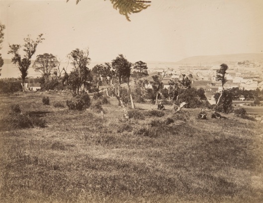 J.W. Allen took this photograph in the late 1860s from around where Marama Hall is today, on what was known as Tanna Hill. On the right in the middle distance is a circular garden, part of the original Botanic Garden on Albany St. On the left is the Cook family's home (now Mellor House). The university moved to this site in the late 1870s. Parts of Tanna Hill were levelled for building, notably the land where the Archway Theatres and Applied Sciences Building are now. Image courtesy of the Hocken Collections, Album 68, S14-434b.