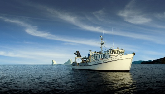 The Polaris II, a former fishing vessel purchased and refitted to serve as a reseach vessel for a wide range of marine and environmental science activities. Image courtesy of University of Otago Marketing and Communications.